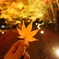 紅葉狩り