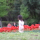 お花畑