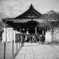 初詣