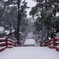 雪化粧の太鼓橋