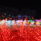 東京ドイツ村