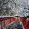 雪の貴船神社⛩