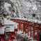 雪の貴船神社⛩
