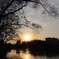 アヒルが見た夕日