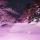 Snow Pink