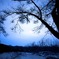 Cold blue