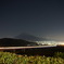 DSC00599