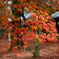 65011013-20D9-4396-A4F6-18BAFA05F670