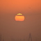 夕日