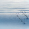 雪漠をのぼる