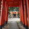 近所の神社