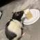 はじめてのケーキ(ペット用)