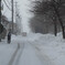 20210111-DSC01429