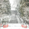雪の東照宮　☆