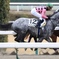中京競馬場