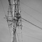 絡まる電線