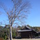 P1050406