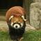 天王寺動物園