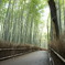 嵯峨野　散策