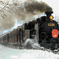 Steam Locomotive 略してSL