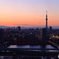 Tokyo twilight view（2/4）