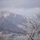 樹氷