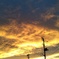IMG_20201010_171755