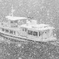 snow noise