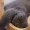 むにゃ むにゃ