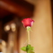 3FE5DF22-5F3C-48A7-AF75-1FC679DEDB83