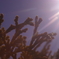 DDE4ACA1-EA8B-4EB6-851E-6A8747211D84