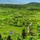 八甲田山湿地帯