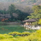 栗林公園