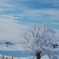 -26℃の青空