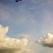 FLY AWAY