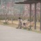 爺と犬と梅