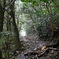 福岡県尺岳登山道