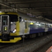 E257系　ホリデー快速鎌倉