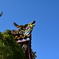 関帝廟　屋根