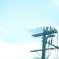 1月29日空