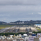 基地との共存