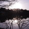 とある公園