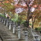 神奈川大山