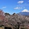 岩本山公園からの風景