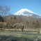 富士山象さん