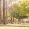 朝の公園 ②