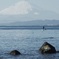 江ノ島から富士山を眺める