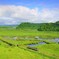 北海道旅行回想　別寒辺牛湿原１