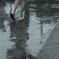 Light rain pavement♪