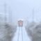 風雪の中
